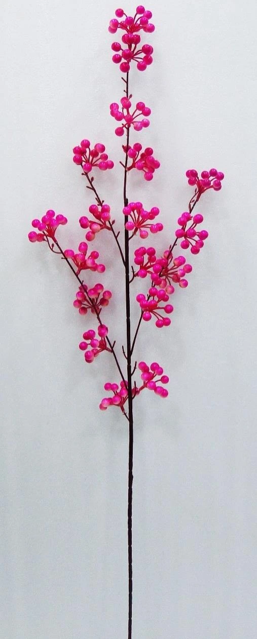 Berries Stick